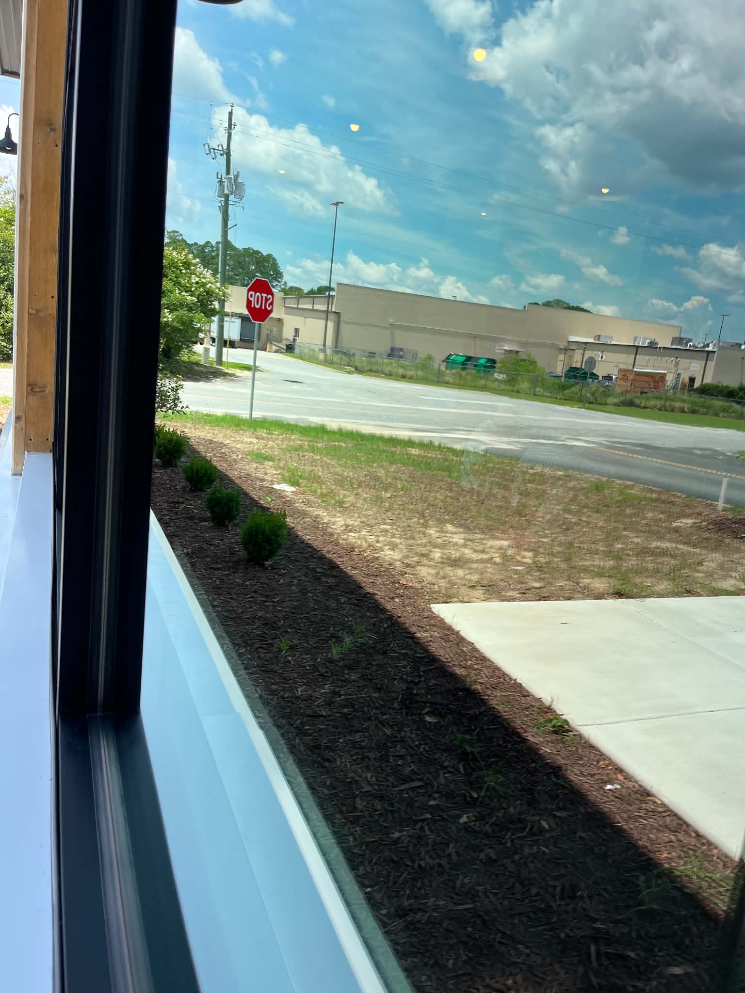 Window cleaning project 4