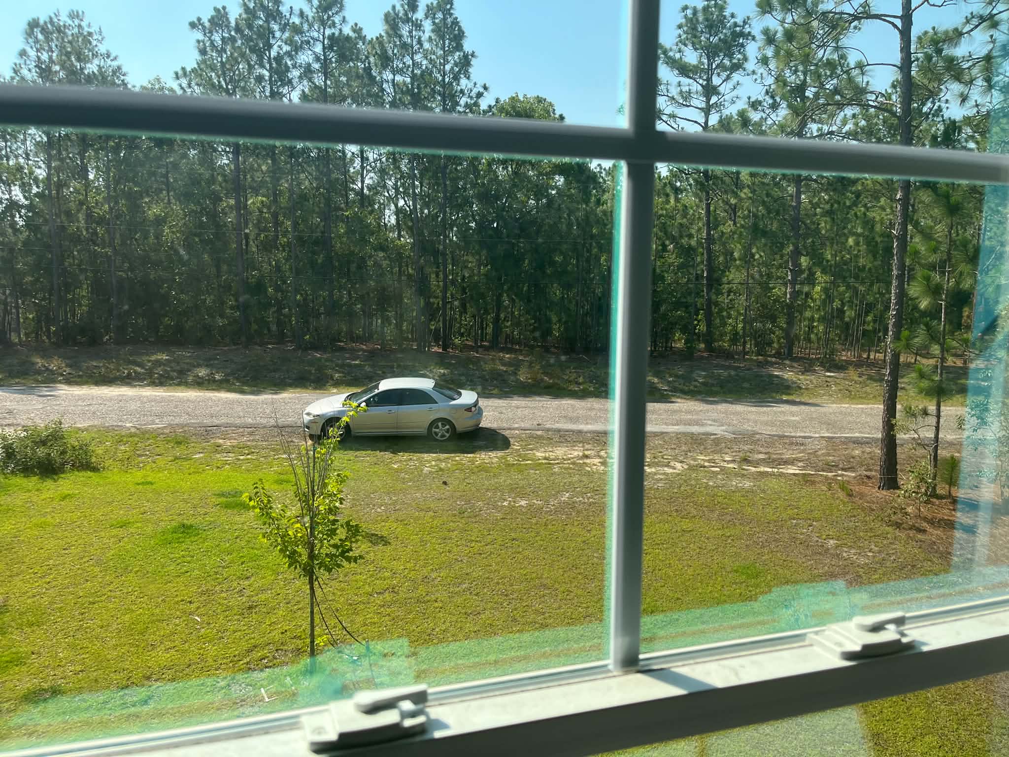 Window cleaning project 6