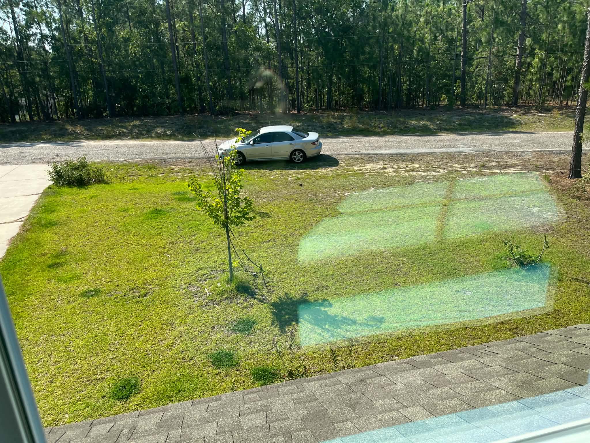 Window cleaning project 8