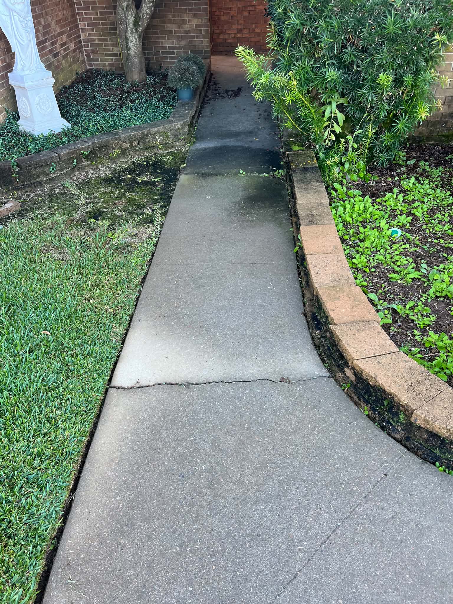 Pressure washing project 4