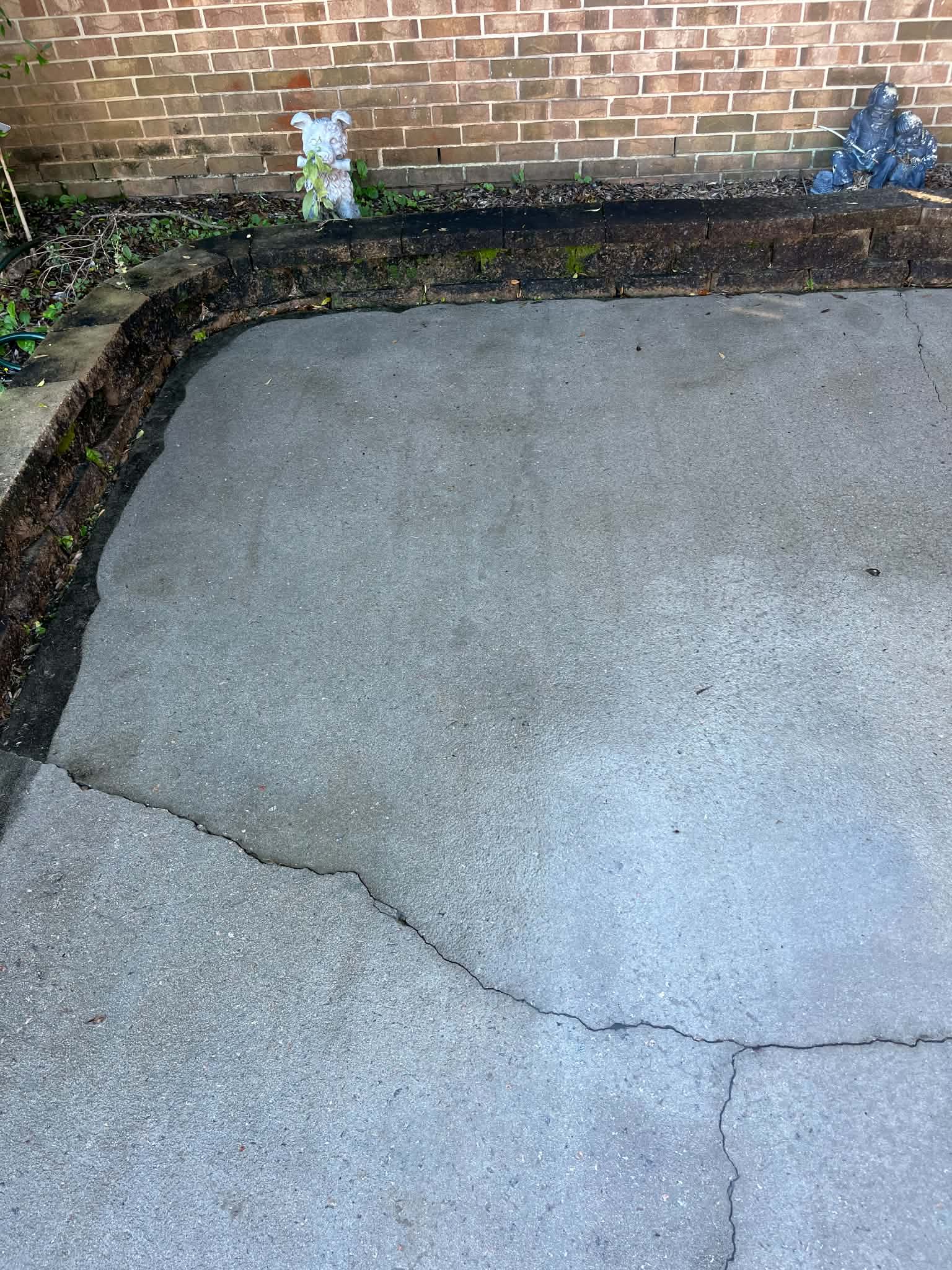Pressure washing project 8