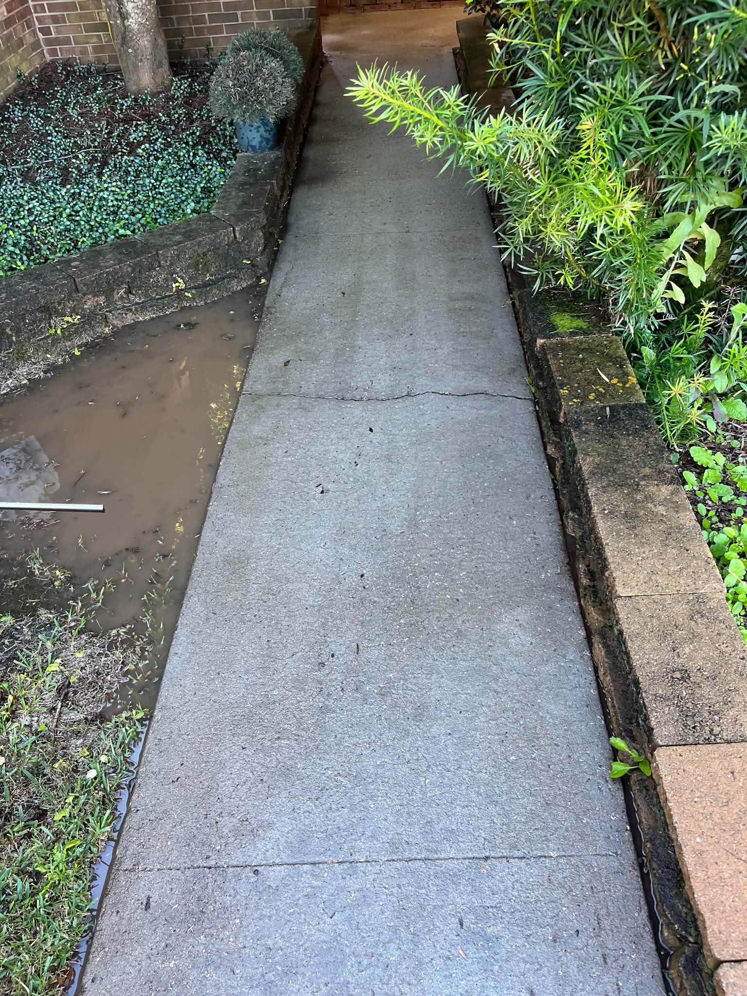 Pressure washing project 11
